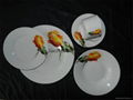 Porcelain Square Dinner Set