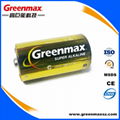 Hot sale industrial package c lr14 am2 1.5v alkaline battery