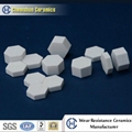 Chemshun Alumina Ceramic Hexagon Tile as