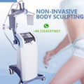 BTL vanquished non-contact slimming