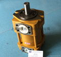 NT5-G100F齒輪泵 1