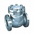 API Swing Check Valve