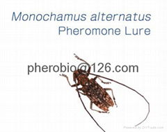  insect pheromone lure of Monochamus alternatus 