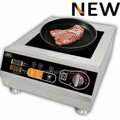 Commercial Induction Cooker