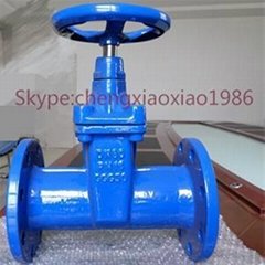 Resilient Seated Gate Valve from China