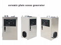 commercial corona discharge ceramic plate ozone generator
