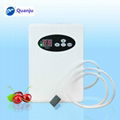 home use 500mg ozone generator 4