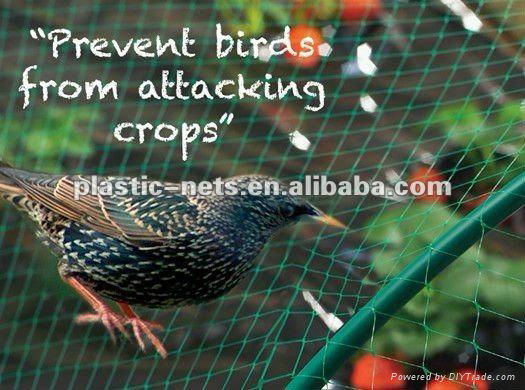 Anti-bird netting 