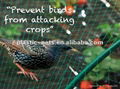 Anti-bird netting 