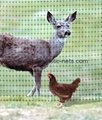 Deer stop netting,Deer Exclusion Net