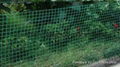 Plastic Garden Border Fence