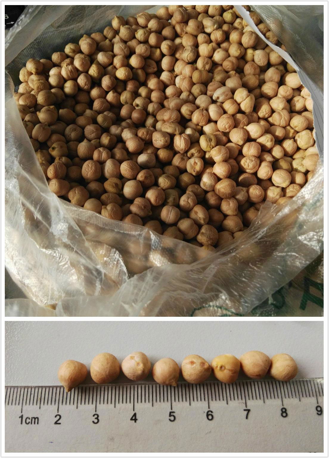 chickpeas 2