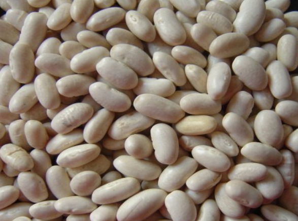 white kidney beans