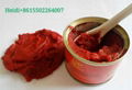 canned xinjiang tomato paste brix 70g 22-24% brix with easy open