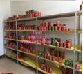 canned xinjiang tomato paste brix 70g 22-24% brix with easy open