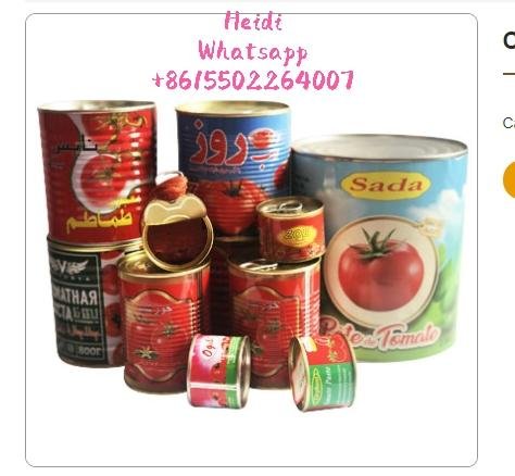canned easy open tomato paste tin 28-30% brix 800g