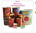 canned easy open tomato paste tin 28-30% brix 800g