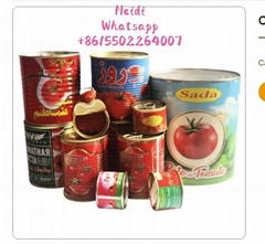 canned easy open tomato paste tin 28-30%