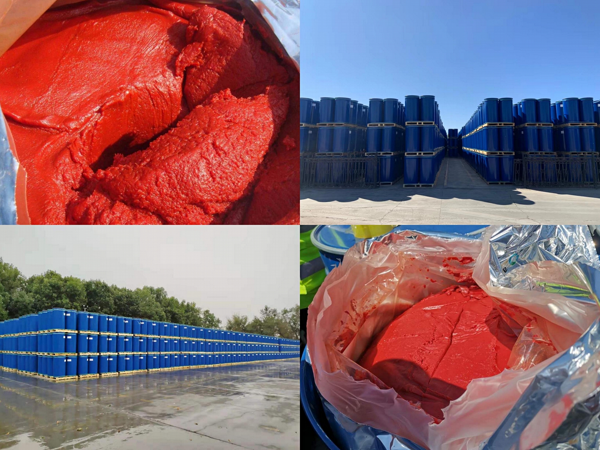 organic tomato paste bulk in drums with 36/38 brix 2021 crop OEM