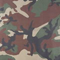 TC (Polyester cotton ) Printed Fabric