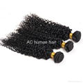 Hair weft kinky curl