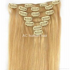 Clip in hair extention