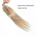 loop ring hair extension prebonded hair extension