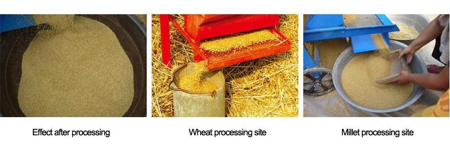 Wheat grain threshing machine 4