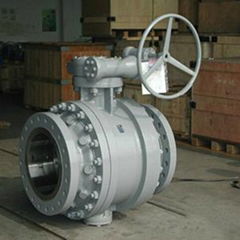 Trunnion Mounted Ball Valves