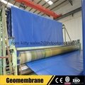 HDPE Geomembrane Blue Waterproofing pond liner for Swimming Pool Liner 5