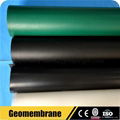 HDPE sheet geomembran fish farm pond