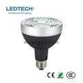 Led light source  Par30