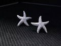Neffiy s925 Simple Style Women OL Crystal Starfish Ear Studs Clear Gems Sea Star 4