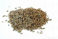 Cumin Whole And Powder