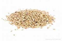 Sesame Seeds