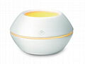 Electronic Home Fragrance wax Diffuser 1