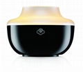 Electronic Home Fragrance wax Diffuser 2