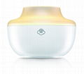 Electronic Home Fragrance wax Diffuser 3