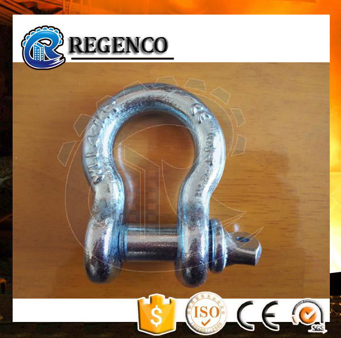 Galvanized Screw Pin US Type Steel Drop Forged D Shackle 4