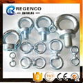 High Strength Steel Drop Forged Din580 Lifting Eye bolt 2