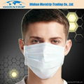 3 ply Disposable Nonwoven Face Mask