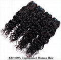 8A grade water wave 100% human brazilian virgin hair 8-30inch wholesale distribu 4