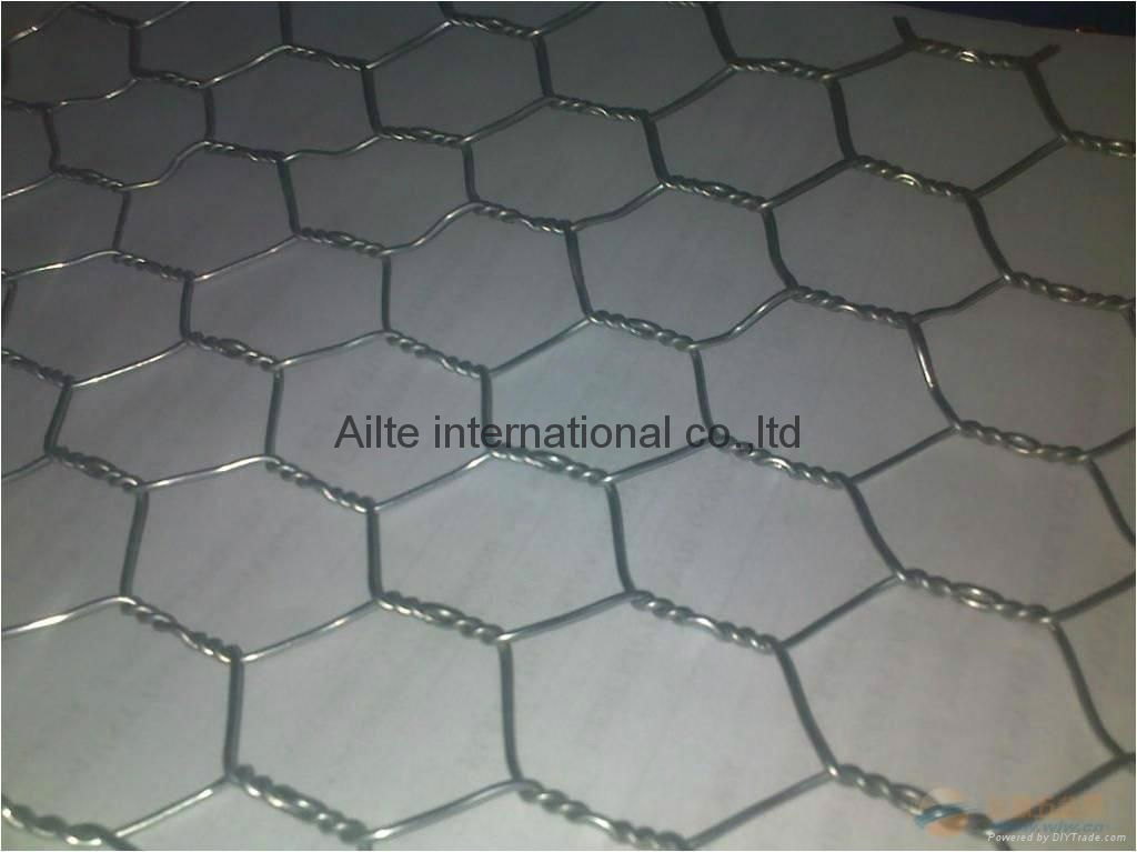 PVC Coated Galvanized Hexagonal Wire Netting Wire Mesh Chicken Wire Netting