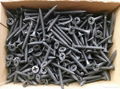 china supplier fastener wood screw