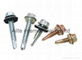 Bugle Head Phillip Drive Fine Thread self drilling Drywall Screw