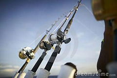 Fishing Rods High Strength Flexible Carbon Fiber Fishing Rods