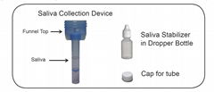 Saliva dna Collection Device