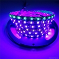 WS2811 60LEDs/m Non-Waterproof 256 Grey