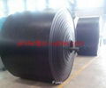 low price ep rubber conveyor belt  3