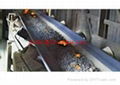 High Temperature Heat Resistant Rubber Conveyor Belt 2